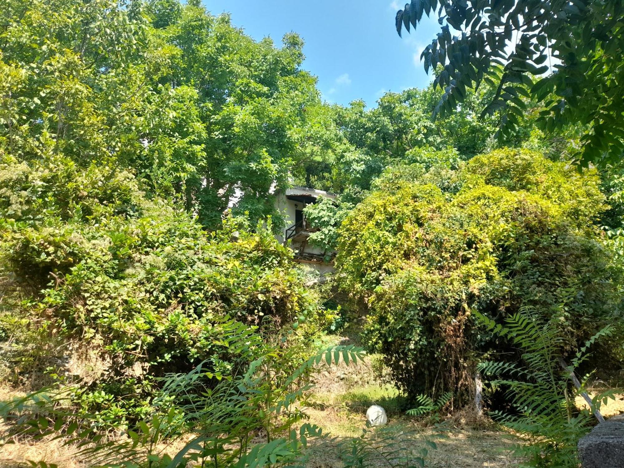הוילה Miléai Mountain And Sea View מראה חיצוני תמונה